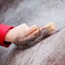 Ezee Groom by Smart Grooming