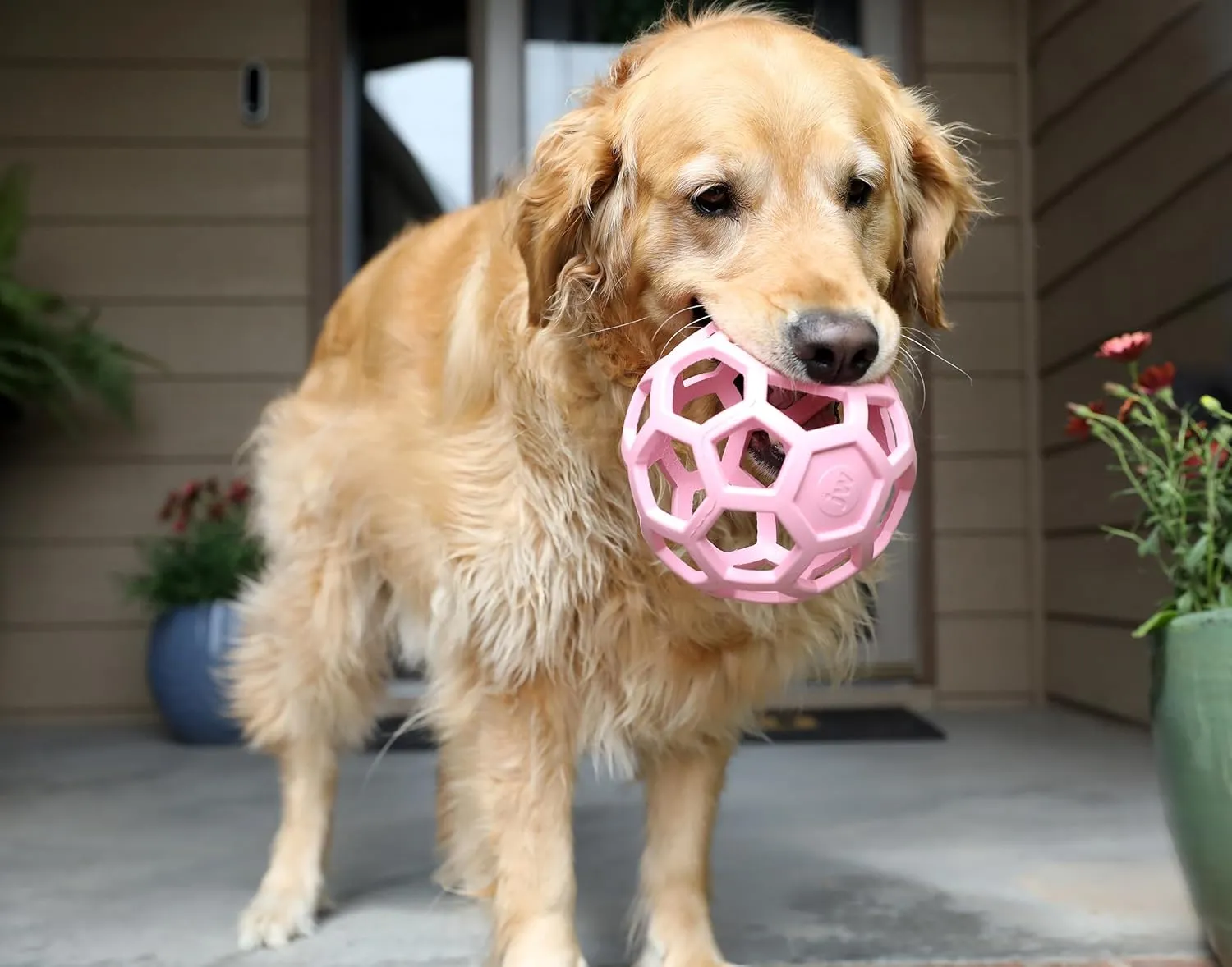 JW Pet HOL-ee Roller, Dog Toy Puzzle Ball, Natural Rubber, Large (5.5 Inch Diameter), Pink