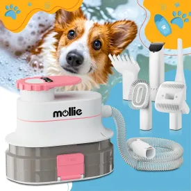 mollie Pet Grooming Kit, Low Noise Dog Grooming Vacuum w/ 4L Dust Box & Hair Blow Dryer & Grooming Clippers, 5 Grooming Tools with 3 Mode Powerful Suction, Pink