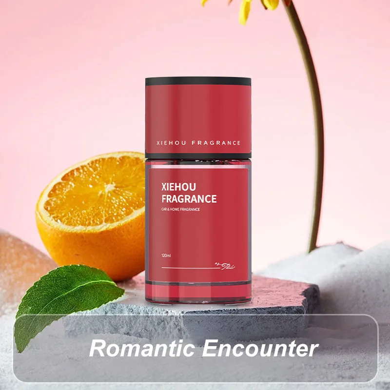  New hot sales in 2025  Durable car perfume