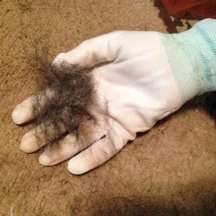 SwiPets - Pet Hair Removal Glove